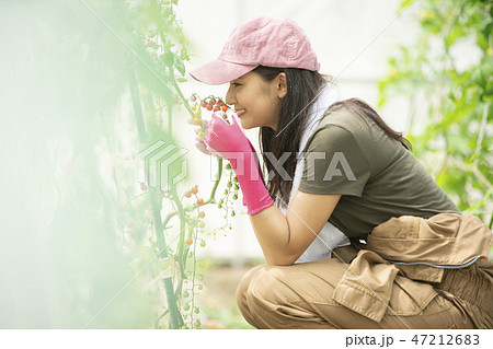 女性　農業 47212683