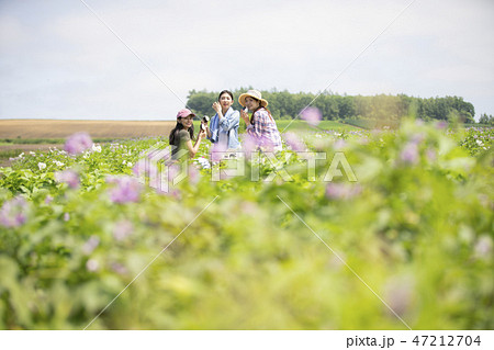 女性　農業　休憩 47212704