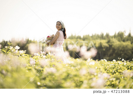 農業　クラシック 47213088