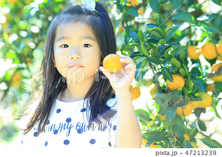 みかん狩り 47213239