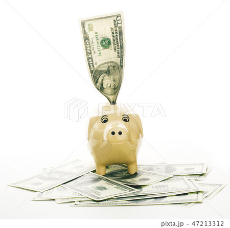 piggy bank among dollars isolated on white background 47213312