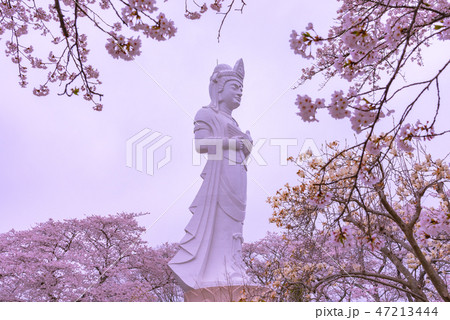 船岡城址公園　船岡平和観音像 47213444