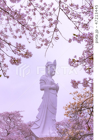 船岡城址公園　船岡平和観音像 47213445