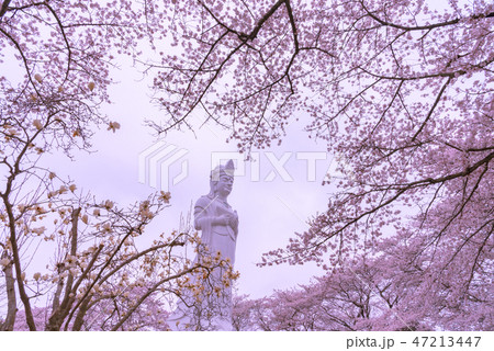 船岡城址公園 船岡平和観音像 船岡城址公園 船岡平和観音像 47213447