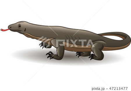 Cartoon komodo dragon isolated on white background Cartoon komodo dragon isolated on white background 47213477