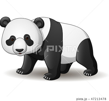 Cartoon panda isolated on white background 47213478