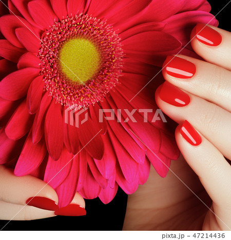 Minimal style. Minimalist Fashion photography Minimal style. Minimalist Fashion photography 47214436