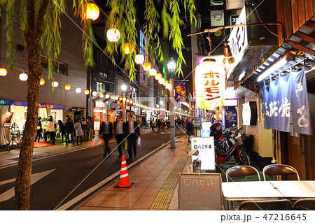 宮崎最大の歓楽街_ニシタチ_宮崎県宮崎市西橘通り 宮崎最大の歓楽街_ニシタチ_宮崎県宮崎市西橘通り 47216645