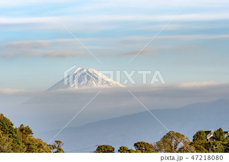 大瀬崎の富士山 47218080