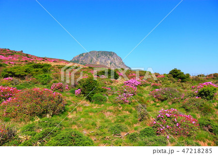 風景 観光 風 47218285