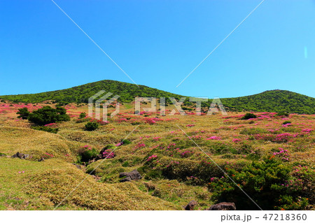 風景 観光 風 47218360