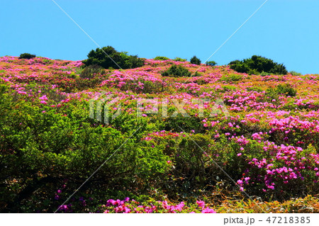 風景 観光 風 47218385