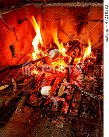 焼きマシュマロ キャンプ場で焚き火 の写真素材