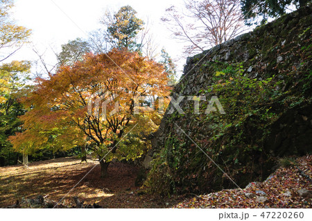 高取城址 47220260