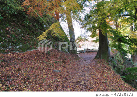 高取城址 47220272