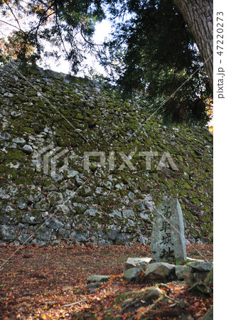 高取城址 47220273