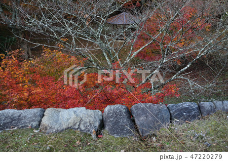 高取城址 47220279