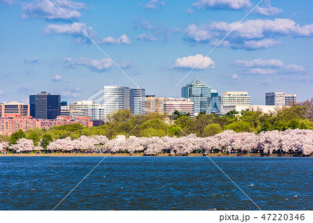 Washington, DC, USA at the Tidal Basin 47220346