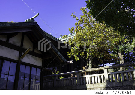 尾道 古寺めぐり 久保亀山八幡神社 本殿 尾道 古寺めぐり 久保亀山八幡神社 本殿 47220364
