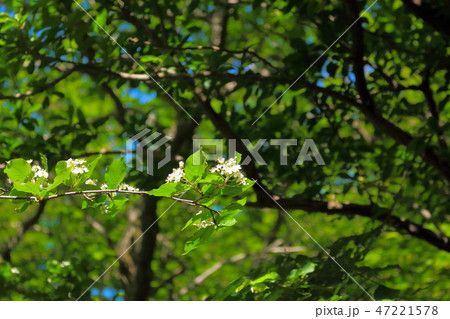 風景 観光 風 47221578