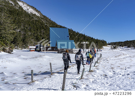 八ヶ岳 坪庭の雪景色 八ヶ岳 坪庭の雪景色 47223296