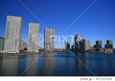 東京の風景:晴海大橋から観た晴海の高層マンション群と東京スカイツリー 東京の風景:晴海大橋から観た晴海の高層マンション群と東京スカイツリー 47223430