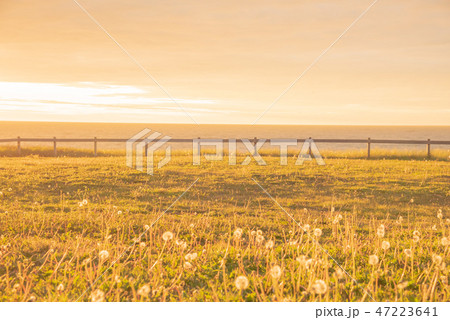 プリンスエドワード島の美しい風景 輝く夕暮れ プリンスエドワード島の美しい風景 輝く夕暮れ 47223641