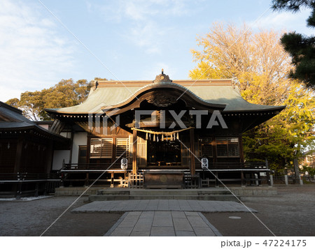 日差しが差し込む神社の拝殿 47224175