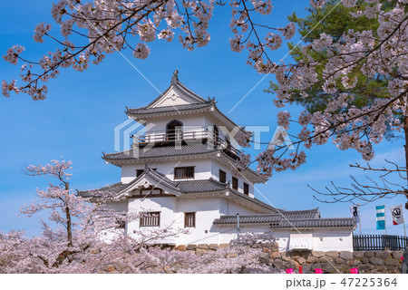 白石城 宮城県 春 桜 城 白石城 宮城県 春 桜 城 47225364
