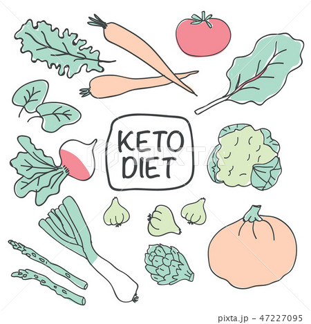 Healthy keto food vector illustration on white 47227095