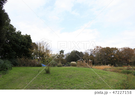 野鳥公園 47227158
