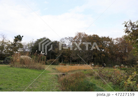 野鳥公園 47227159
