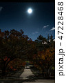 月に照らされた一本の道、月光、京都南禅寺 47228468