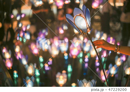 キャンドルナイト2018 キャンドルナイト2018 47229200