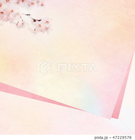 和 和風 和柄 背景 和紙 春 桜 ピンク グラデーションのイラスト素材