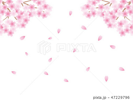 桜 散る 花びら 春 背景のイラスト素材
