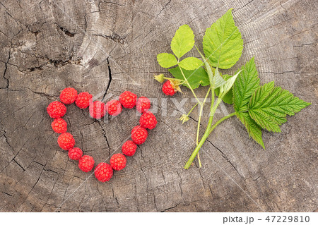 Raspberries berry heart shape and branch berry Raspberries berry heart shape and branch berry 47229810