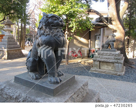 鳩森八幡神社の狛犬 鳩森八幡神社の狛犬 47230265
