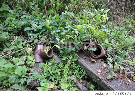 小幌駅周辺 小幌駅周辺 47230375