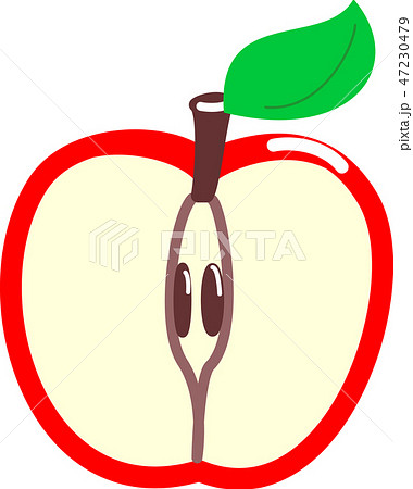 りんご　半分　葉っぱ 47230479