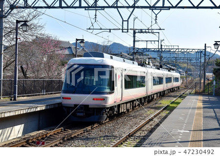 さくらライナー さくらライナー 47230492