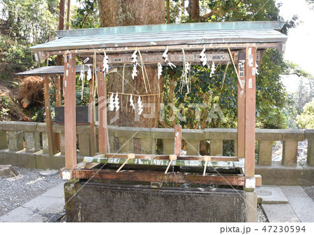 手水舎 久能山東照宮 手水舎 久能山東照宮 47230594