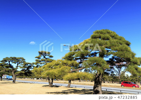 丸の内 丸の内 47232885