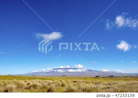Mauna Kea Mountain seen from Kohala Mountain Road 47233139