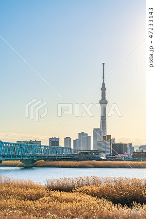 荒川河川敷 葛飾四ツ木からの都市風景 47233143