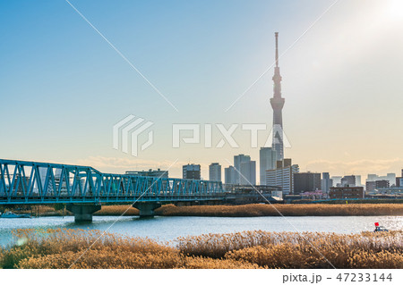 荒川河川敷 葛飾四ツ木からの都市風景 荒川河川敷 葛飾四ツ木からの都市風景 47233144
