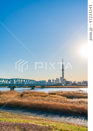 荒川河川敷 葛飾四ツ木からの都市風景 47233145