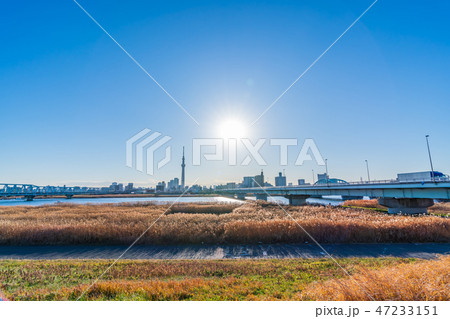 荒川河川敷 葛飾四ツ木からの都市風景 荒川河川敷 葛飾四ツ木からの都市風景 47233151