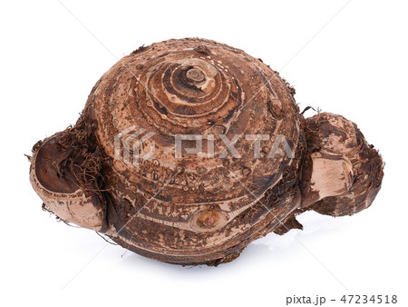 fresh taro isolated on white background 47234518