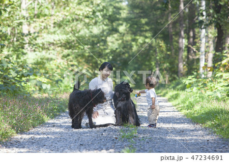 犬と遊ぶ親子 47234691